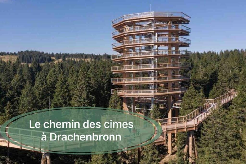 Gite Classe 4 Etoiles  La Maison Du Tonnelier Oberbronn Exteriér fotografie