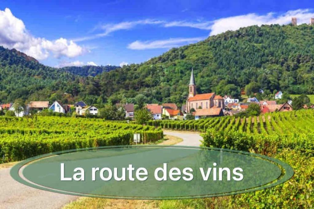 Gite Classe 4 Etoiles  La Maison Du Tonnelier Oberbronn Exteriér fotografie