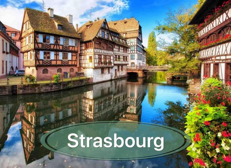 Gite Classe 4 Etoiles  La Maison Du Tonnelier Oberbronn Exteriér fotografie