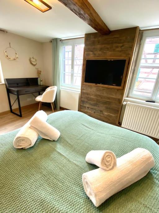 Gite Classe 4 Etoiles  La Maison Du Tonnelier Oberbronn Exteriér fotografie