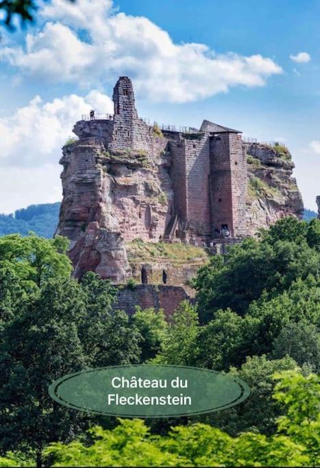 Gite Classe 4 Etoiles  La Maison Du Tonnelier Oberbronn Exteriér fotografie
